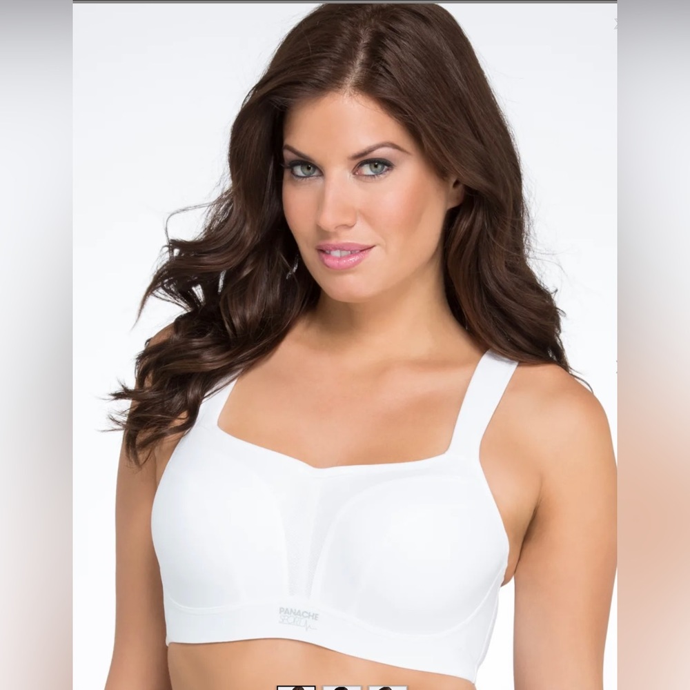 Panache Ultimate High Impact Underwire Sports Bra 34G